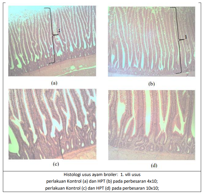8437BE8A-36A3-4602-A49B-EBA54F1BD634 - Perhimpunan Peternak Rakyat Mandiri Indonesia