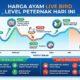Info Harga Broiler Livebird per Kg 19 September 2026
