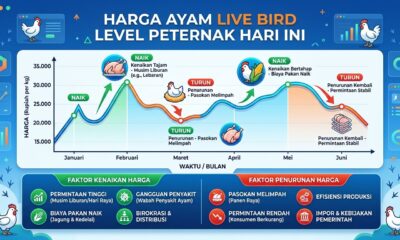 Berita Peternakan